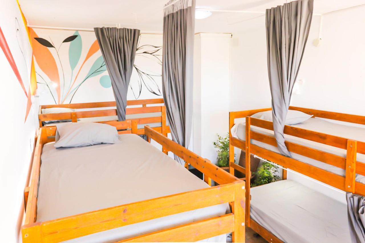 Ocean Nomads Coworking Hostel *