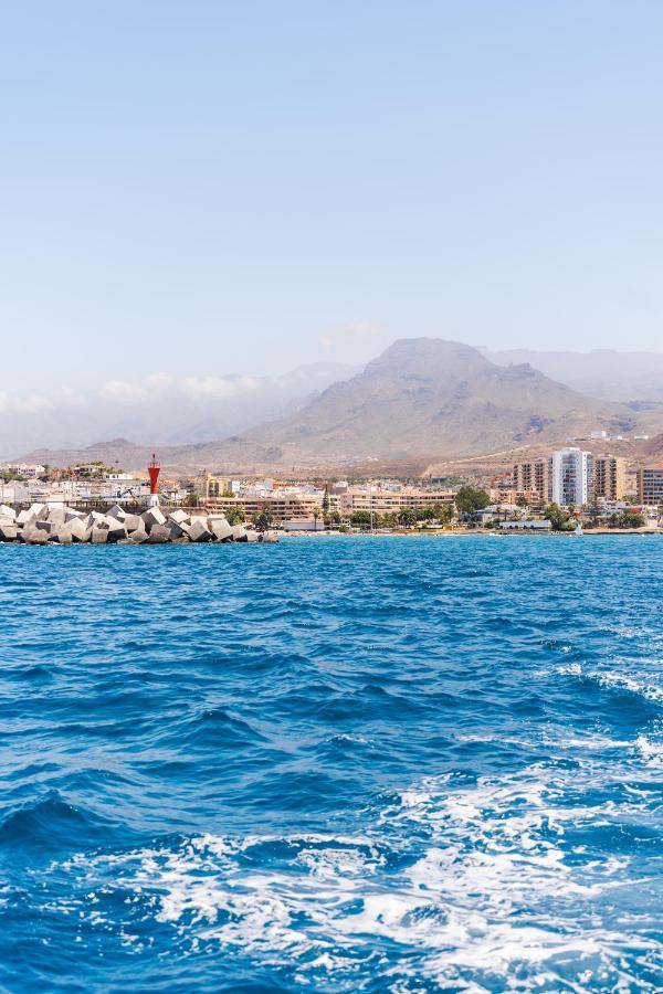 Ocean Nomads Coworking Arona (Tenerife)